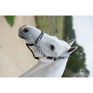 41250-80-licol-pour-cheval-bucas-dublin-zebra-black