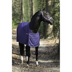 59225-62-couverture-d-exterieur-pour-cheval-bucas-panel-prize-cooler-125g-navy-silver-125-cm