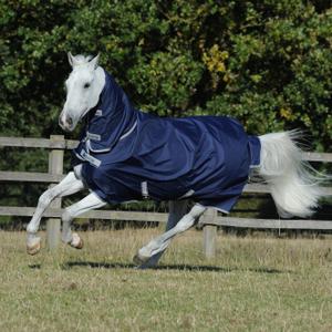 product/b/u/bucas_66200-62_navy-silver_1.jpg