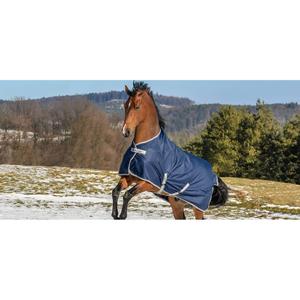 59625-62-couverture-d-exterieur-pour-cheval-impermeable-col-haut-bucas-freedom-turnout-150g-navy-silver