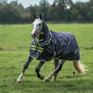 product/b/u/bucas_67025-45_grey-lime_2.jpg