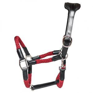 cacl03br-licol-cuir-et-corde-pour-cheval-cavaletti-tara-black-red-cob