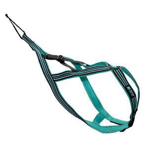 cy6038-harnais-pour-chien-cani-gear-olympia-noir-turquoise