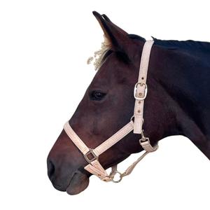 109508-vieux-rose-licol-pour-cheval-canter-malibu-vieux-rose