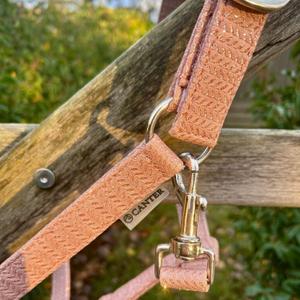 product/c/a/canter_109508-vieux-rose_vieux-rose_3.jpg