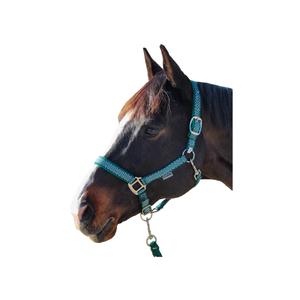 109509-vert-ensemble-licol-et-longe-pour-cheval-canter-sonoma-vert