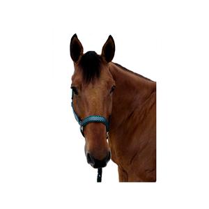 product/c/a/canter_109509-vert_vert_2.jpg