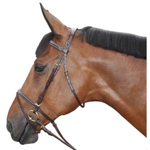 111123-marron-bridons-equitation-surpique-combine-canter-marron
