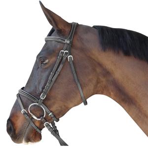111123-noir-bridons-equitation-surpique-combine-canter-noir