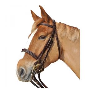 111505-marron-bridons-equitation-canter-euro-marron