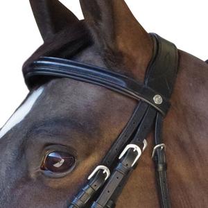 product/c/a/canter_111505-noir_2.jpg