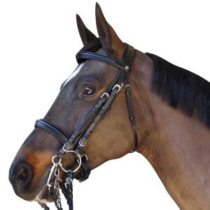 111505-noir-bridons-equitation-canter-euro-noir