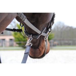 product/c/a/canter_113009-marron_marron_2.jpg