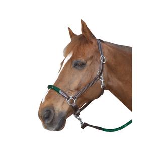 119522-marron-vert-foret-licol-pour-cheval-en-cuir-avec-corde-canter-marron-vert-foret