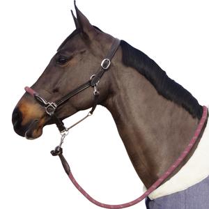 119522-marron-vieux-rose-licol-pour-cheval-corde-boucles-blanches-canter-marron-vieux-rose