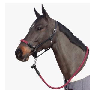 119522-noir-bordeaux-licol-corde-boucles-blanches-pour-cheval-canter-noir-bordeaux