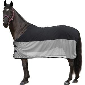 product/c/a/canter_210100-noir-argent.jpg