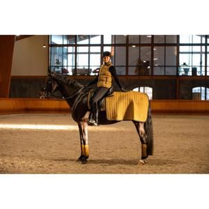 product/c/a/catago_30026001809_kangaroo_2.jpg