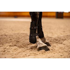 product/c/a/catago_300302001_black_3.jpg
