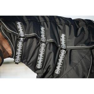 product/c/a/catago_300471501_black_2.jpg