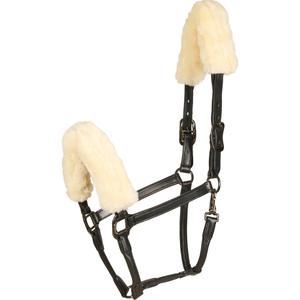 product/c/a/catago_41512001_black_1.jpg
