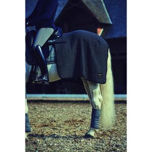product/c/a/catago_49012018_2.jpg