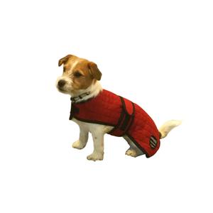 product/c/a/catago_49024504_2.jpg