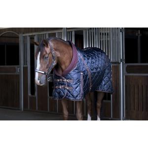 product/c/a/catago_49361501_2.jpg