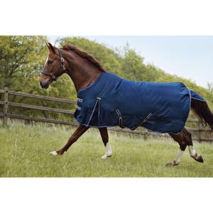 product/c/a/catago_49371514_2.jpg