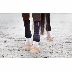 product/c/a/catago_49851001_black_2.jpg