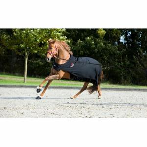 product/c/a/catago_49862001_black_2.jpg