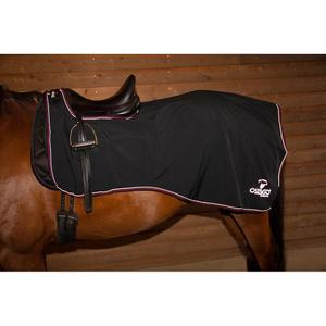 product/c/a/catago_49962001_black_2.jpg