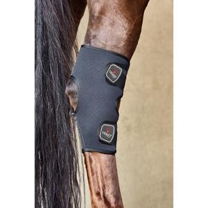 product/c/a/catago_50412001_3.jpg