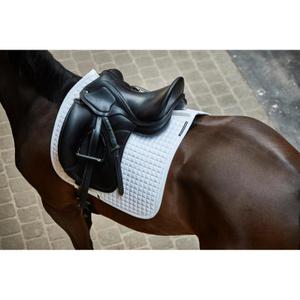 product/c/a/catago_51000608_white_2.jpg