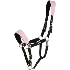 80009300100-licol-pour-cheval-catago-fir-tech-burnished-lilac