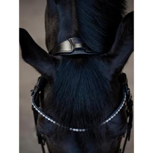 product/c/a/catago_800162001_black_2.jpg