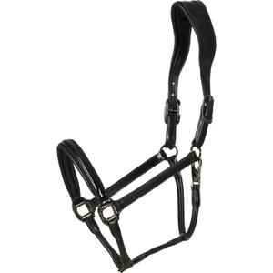 800383001-licol-pour-cheval-en-cuir-catago-novi-25-1-black