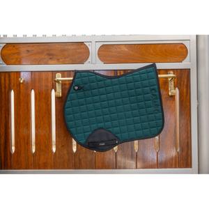 product/c/a/catago_80046260117_ponderosa-pine_2.jpg