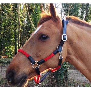 cal03br-licol-cuir-et-corde-pour-cheval-cavaletti-tara-noir-rouge-full