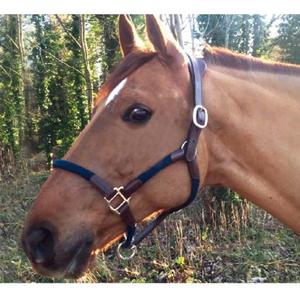 cal03om-licol-cuir-er-corde-pour-cheval-cavaletti-tara-oak-marine-full