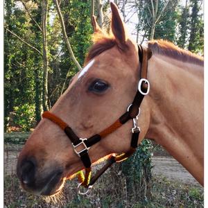 cal03oo-licol-cuir-et-corde-pour-cheval-cavaletti-tara-oak-full