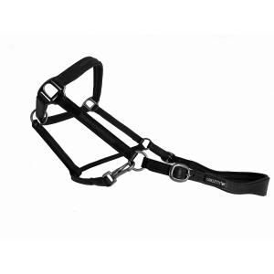 cal04o-licol-cuir-avec-insert-crystal-pour-cheval-cavaletti-tara-oak-full