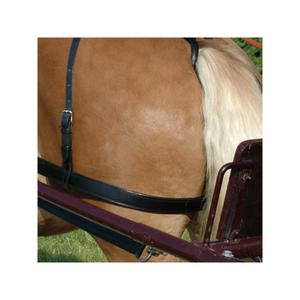 011042-noir-courroie-de-cuisses-pour-cheval-chetak-noir-full