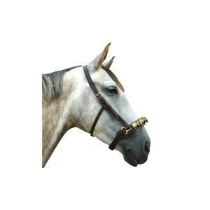 119400-marron-cavecon-pour-cheval-chetak-marron-full