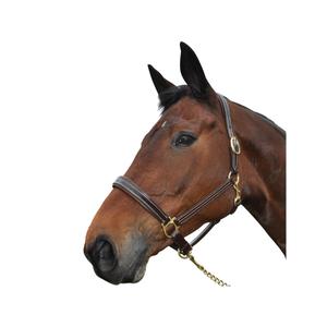 119502-marron-licol-pour-cheval-cuir-chetak-bright-marron