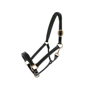 119502-noir-licol-pour-cheval-cuir-chetak-bright-noir