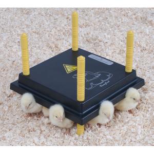530005025-panneau-chauffant-pour-poussin-chick-a-blk-25x25-cm