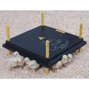530005040-panneau-chauffant-pour-poussin-chick-a-black-40x40-cm
