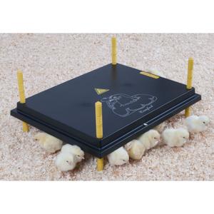 530005050-panneau-chauffant-pour-poussin-chick-a-noir-40x50-cm