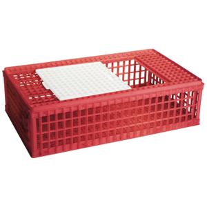 product/c/h/chick-a_590020_rose_2.jpg